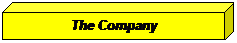 W�rfel: The Company
